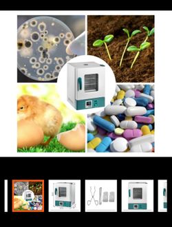 Incubator