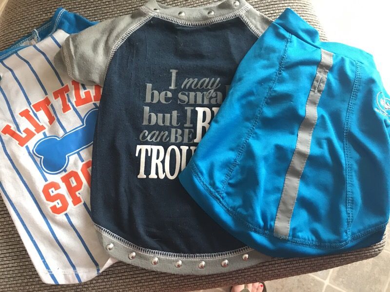 3- Doggie shirts