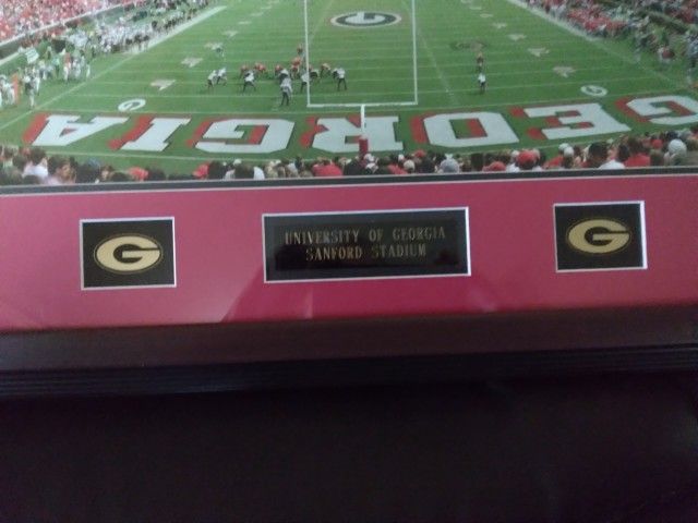 Georgia Bulldogs Statium Picture Very Very Nice! Hard To Find! Collectibles & Art