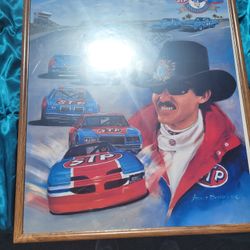 Framed & Autographed Richard Petty Poster 