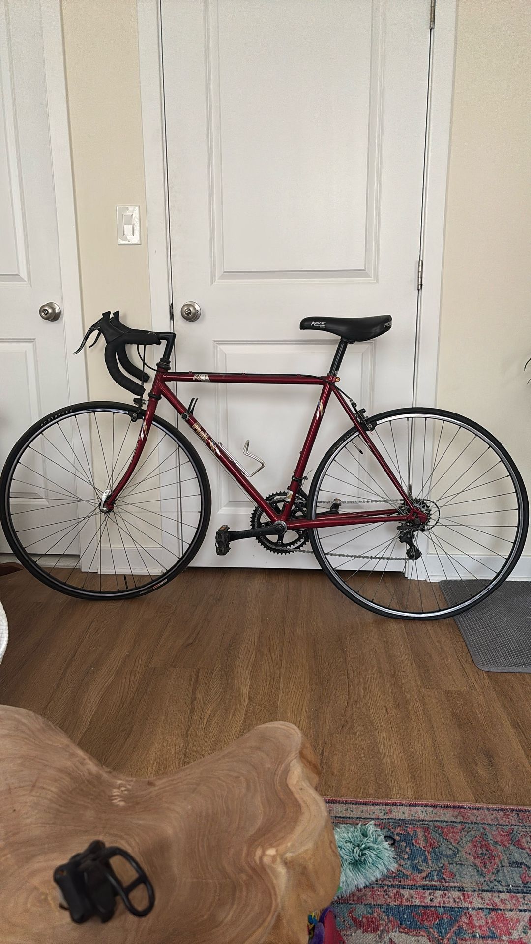 Fuji Ace Road Bike