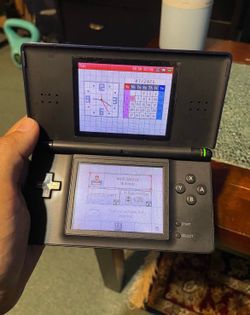 Nintendo DS Lite