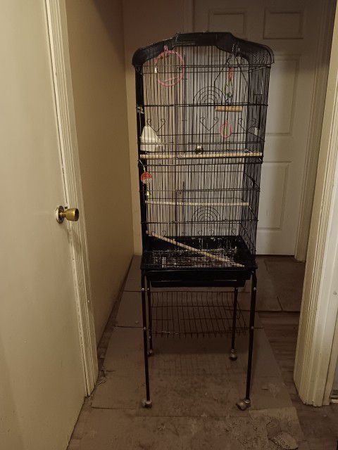 Bird Cage With Accessories!
