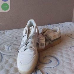 Adidas Shoes 