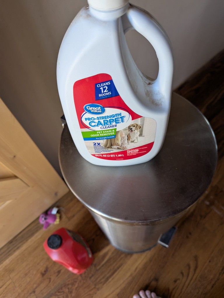 Bissell Carpet Cleaner