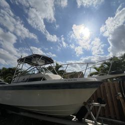 Wellcraft 25 Ft Boat For Sale