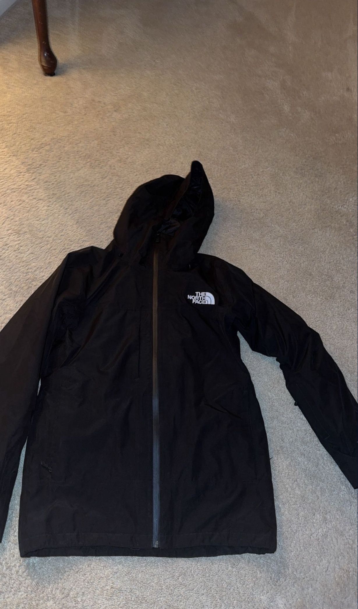 The north Face Snow Jacket