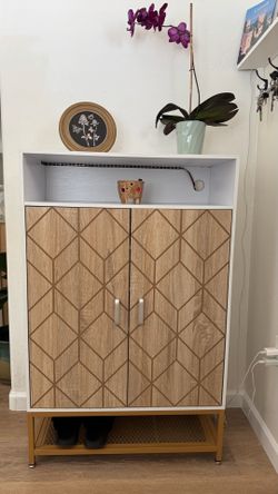 Shoe Cabinet Storage with doors