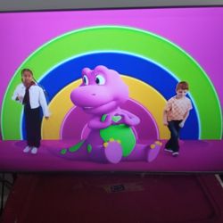 TcL Roku 55 ' Flat Screen Tv