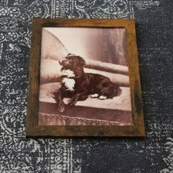 Vintage Dog on Couch Photo Print in Wood Frame 8.5" x 11"