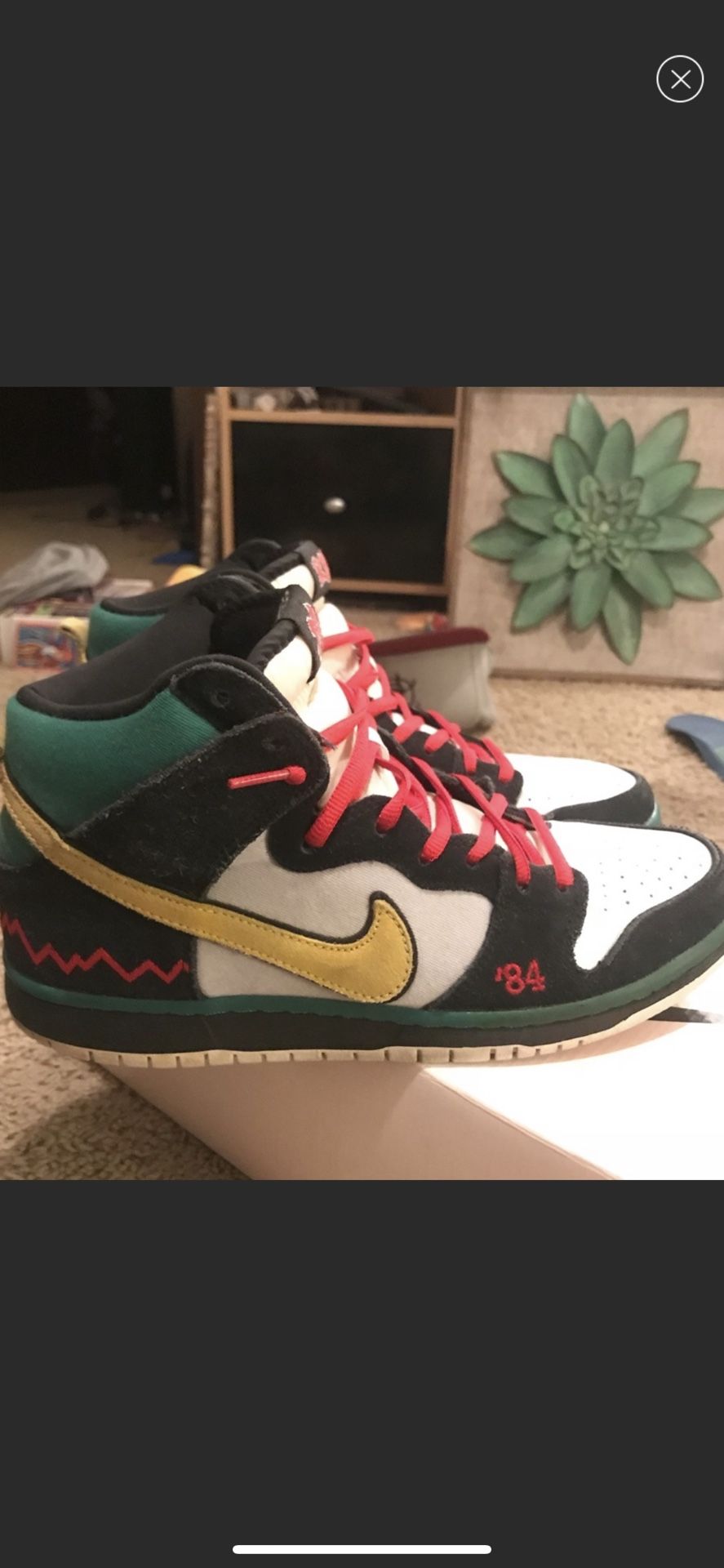 Nike Dunk SB McRads Hard Sb to find. 250$ just like Like New
