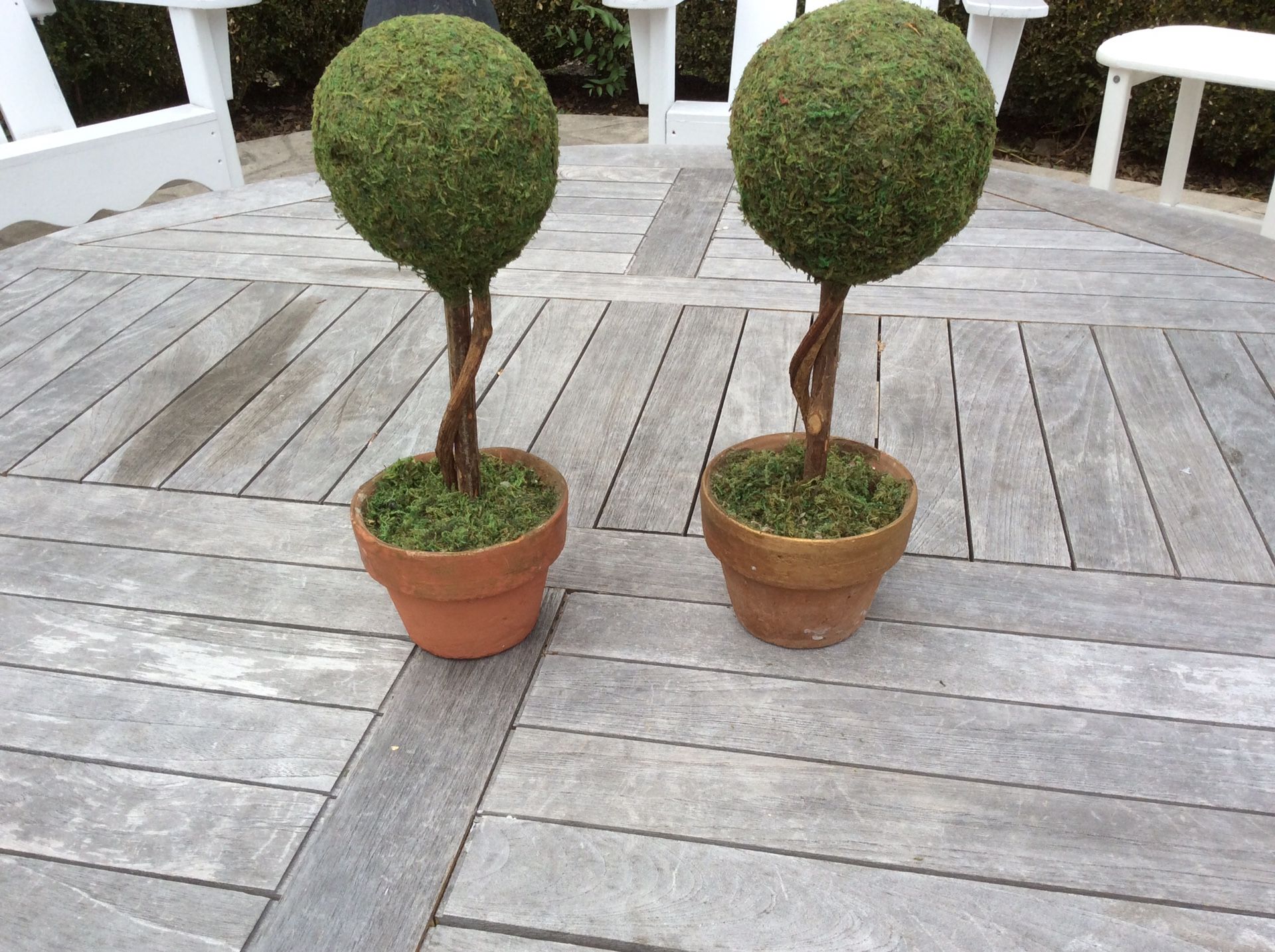 SET OF TWO, FAUX MOSS DECORATIVE, TABLETOP, TOPIARY TREES, 11” TALL & 4” BALL WIDTH