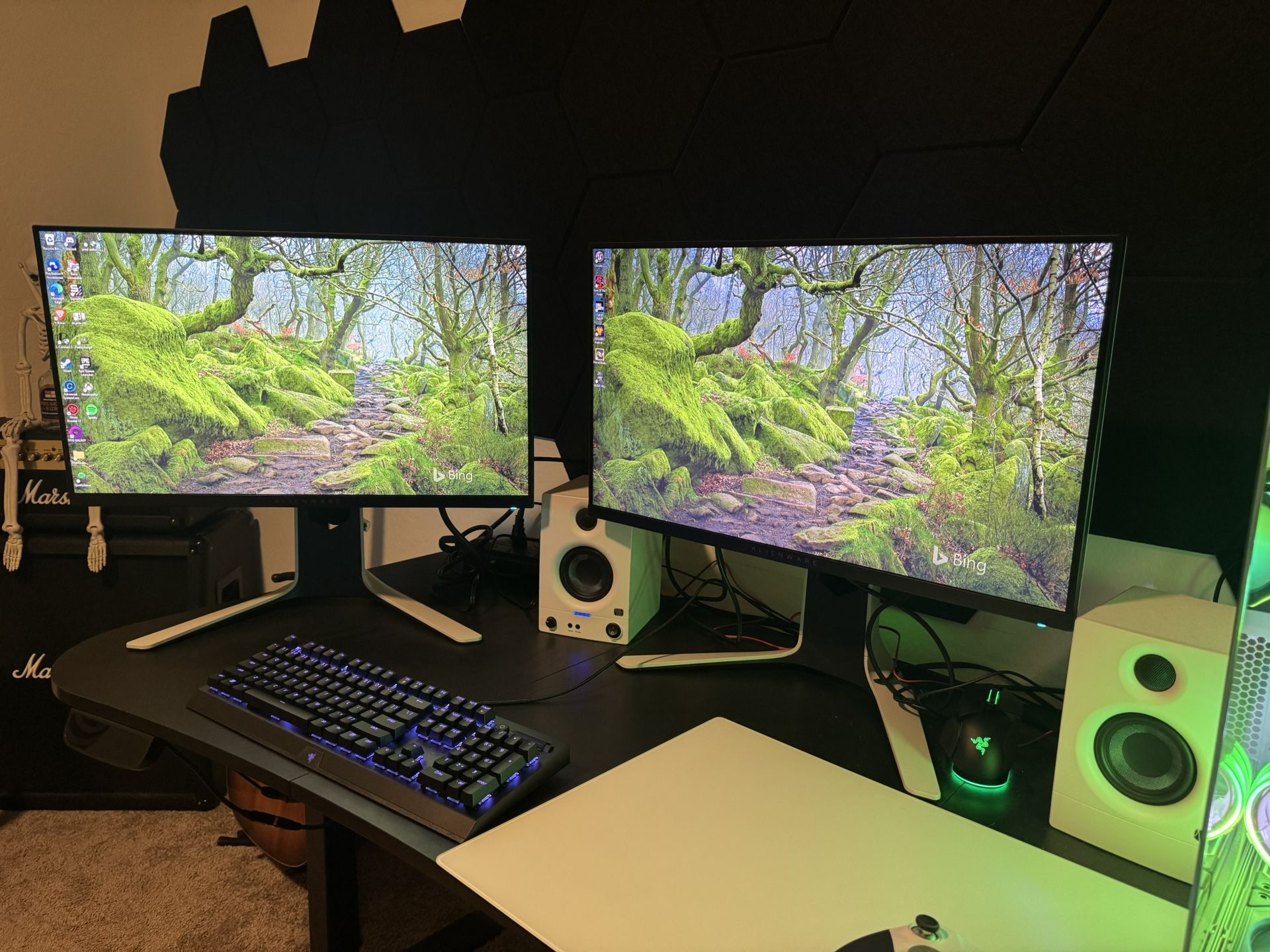 Alienware 27in 240hz Monitor