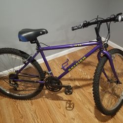 26 Inch RALEIGH Model M 30