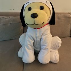 Rare Jumbo/Giant Raising Canes Puppy Dog