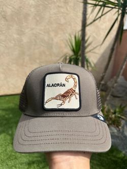 Trucker Hats
