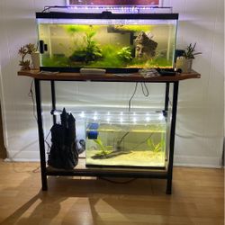 Fish Tanks 
