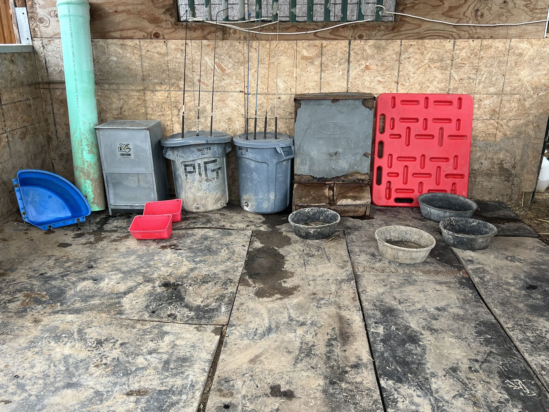 Pig Supplies Equipment 4H