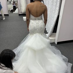 Wedding Dress & Veil