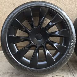 Tesla Model Y Induction 20” Wheels