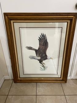 Large “Soaring Eagle” Picture