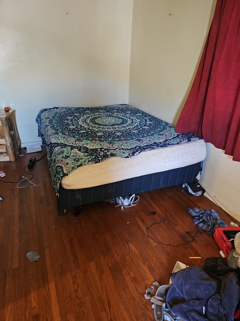 Queen Purple Bed with Box Frame.