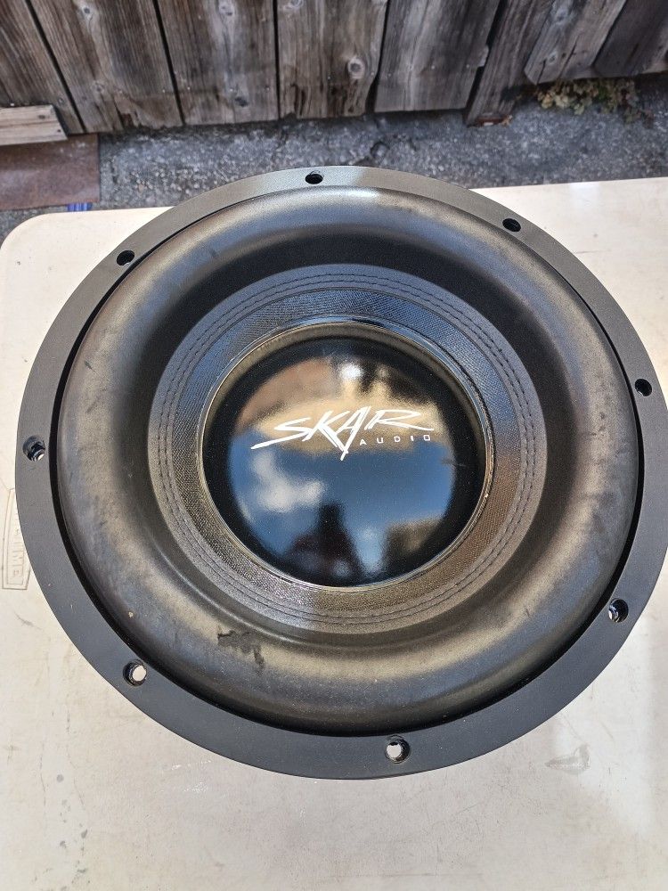 12" Subwoofer