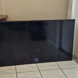 Vizio 55 Inch T. V. Model #: V555-J01