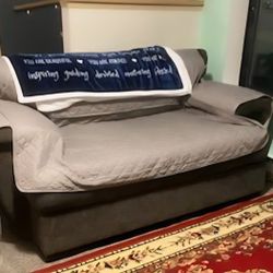 Free Loveseat