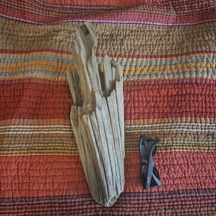 Driftwood 