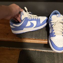 Nike Dunks Polar Blue 