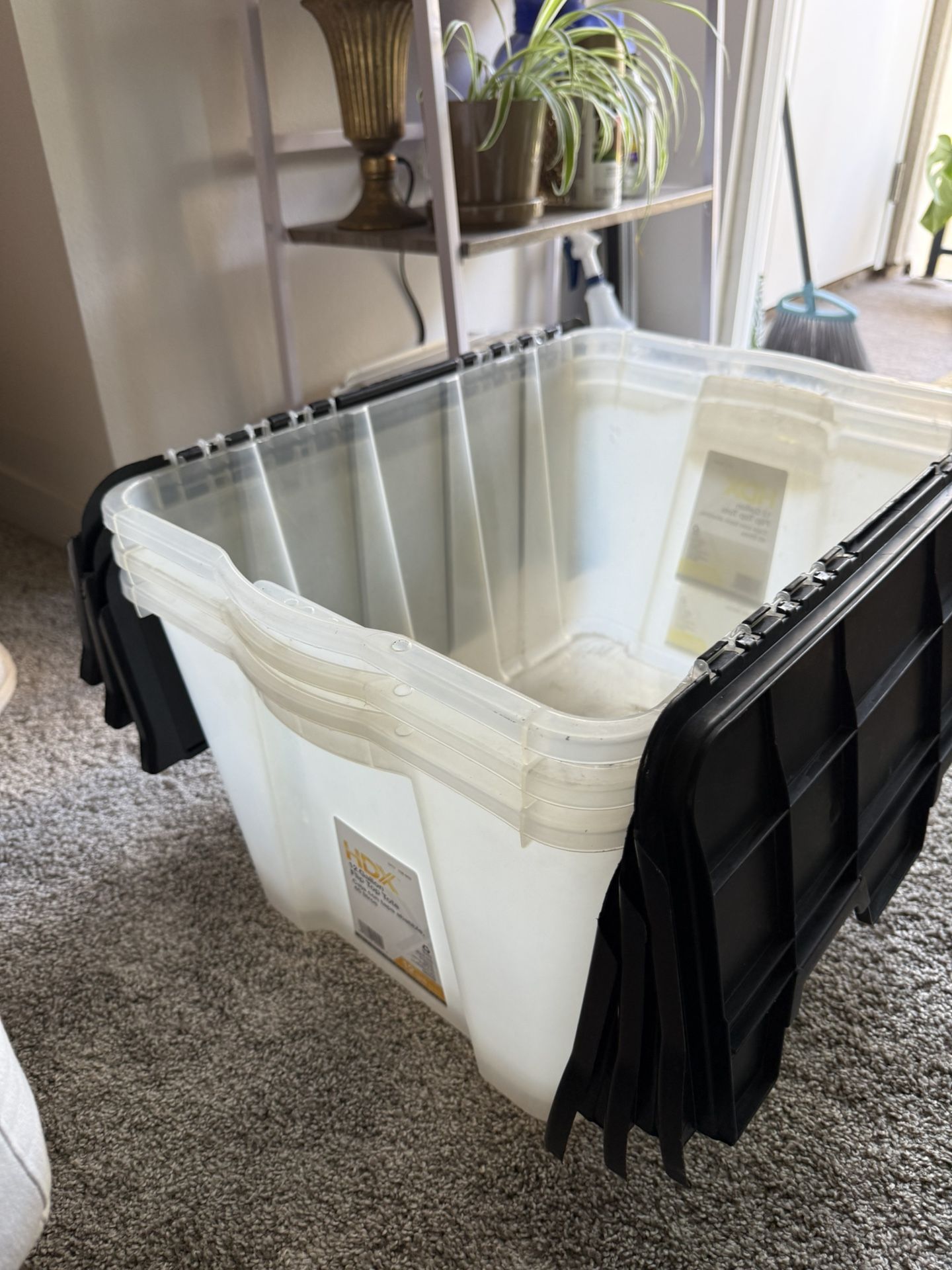 12 Gallon storage bins