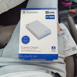 PlayStation Game Drive 
