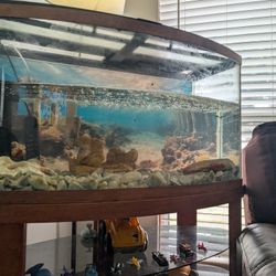 Bow Fish Aquarium 60 Gallon Complete Setup 