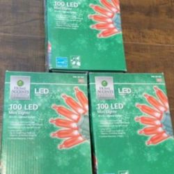 LED Mini Lights