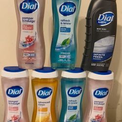 Dial Body Wash Bundle
