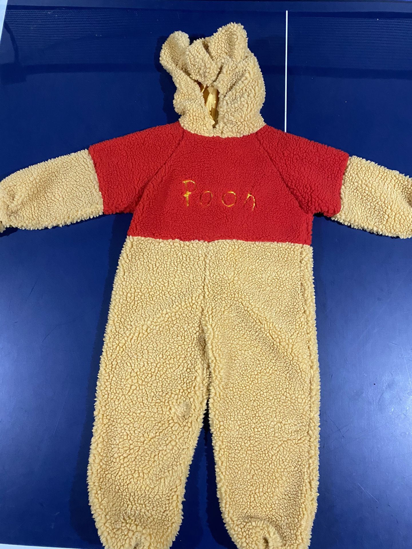 Disney Pooh Halloween Costume