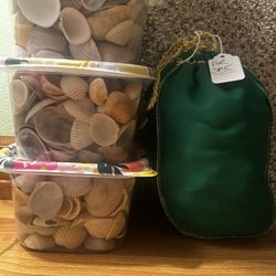 Florida Seashells - Will Ship - Crafters Don’t Miss This!!!