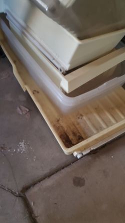 Refrigerator bins