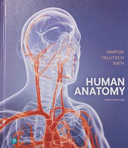 Human Anatomy, 9th Edition by F.H. Martini, Tallitsch, and Nath