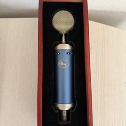Blue Bird Mic