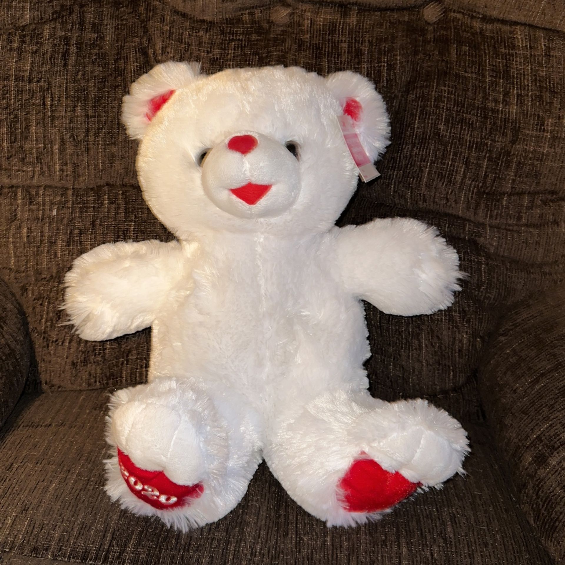 Stuffed Valentine Bear 