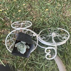 Decoración incluided plants