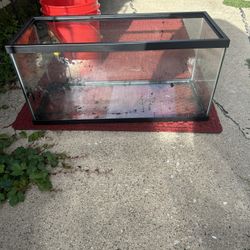 20g Long Aquarium