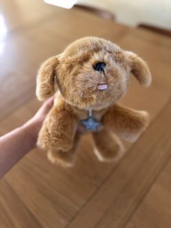 Little Live Pets Sleepy Puppy Toy Plush 