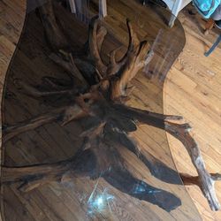 Mid Century Tree Root Coffee Table