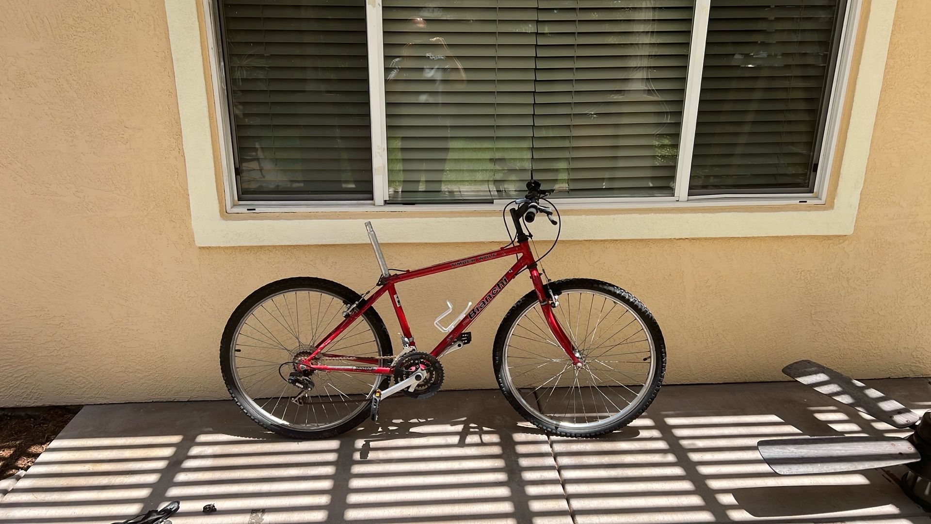 Free Bianchi Mountain Bike