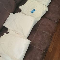 Painter Pants  $20