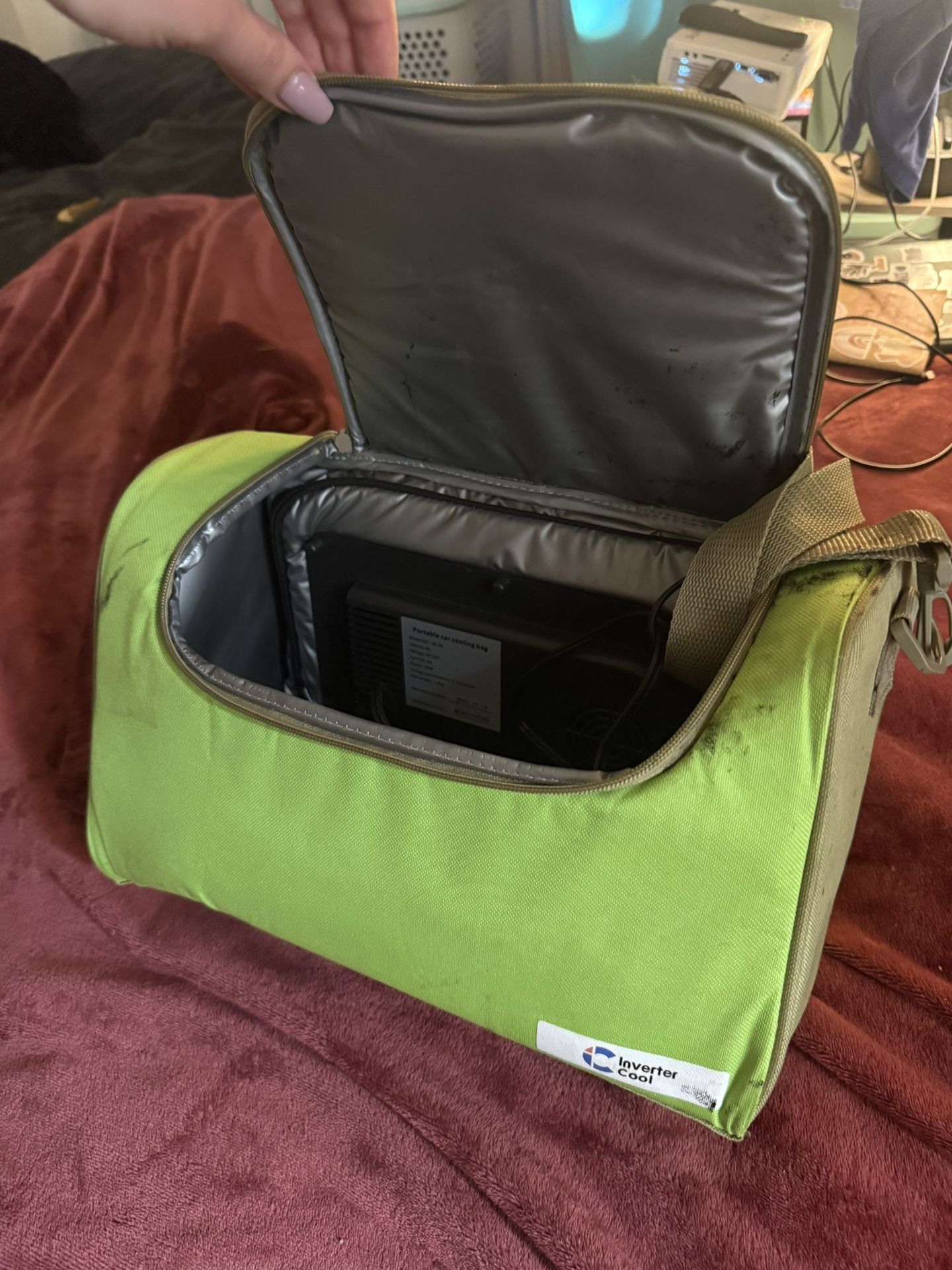 Cooler bag for car