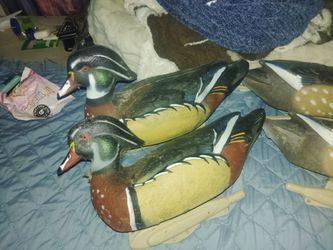 Duck decoys